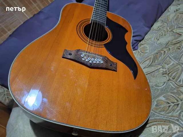 Класическа 12струнна китара ЕКО, снимка 8 - Китари - 48349678