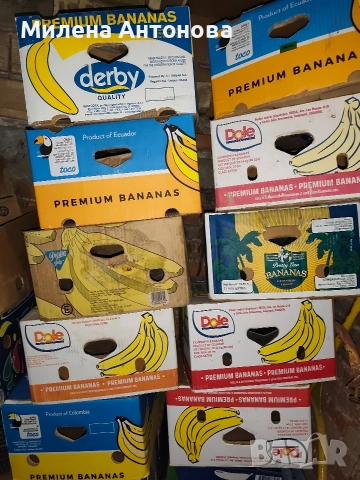 Пластмасови касетки (амбалаж,щайги..)Кашони., снимка 6 - Форми - 52735727