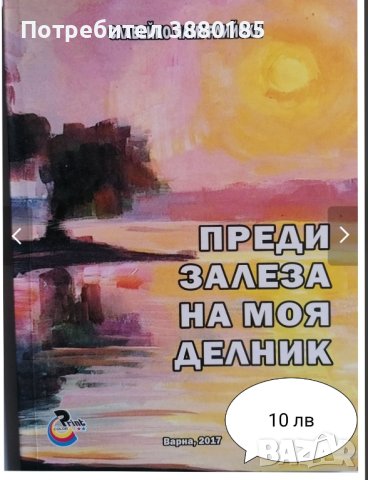Стихотворения , снимка 4 - Други - 43866283
