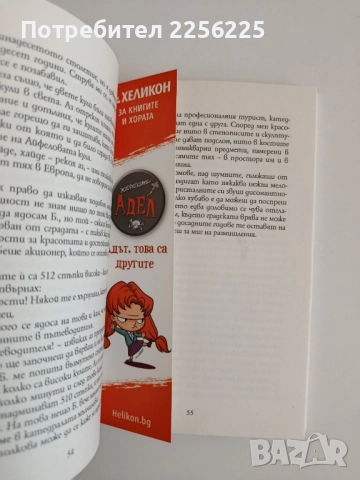 Дневникът на едно поклонничество, снимка 4 - Художествена литература - 52174163