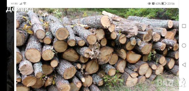 Продавам сухи дърва за огрев , снимка 1 - Дърва за огрев - 43188547