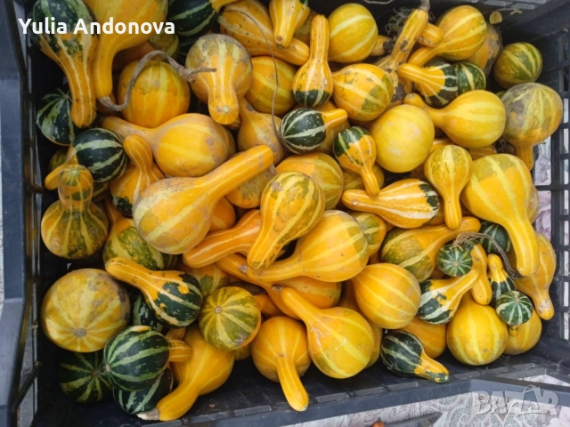 Кратунки за декорация