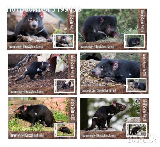 Чисти блокове Фауна Тасманийски Дявол 2019 от Тонго, снимка 1 - Филателия - 37686790