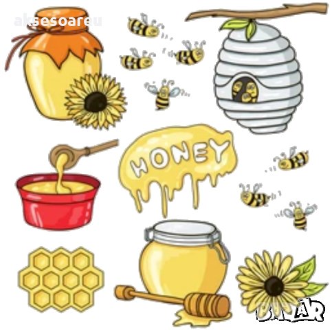 Продавам полифлорен пчелен мед букет 9 лв. на буркан 1 кг. с винтова капачка, снимка 13 - Пчелни продукти - 21270708