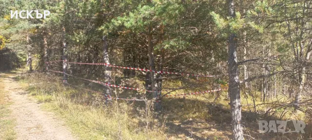 Продава парцел във в.з. Ярема, снимка 4 - Парцели - 47872331