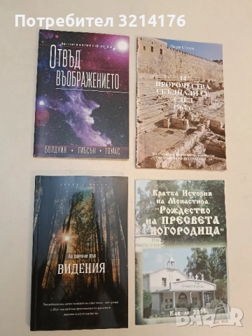 Аз вярвам във видения - Кенет Е. Хегин