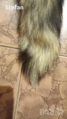 Кожа от лисица, снимка 5 - Антикварни и старинни предмети - 48744215