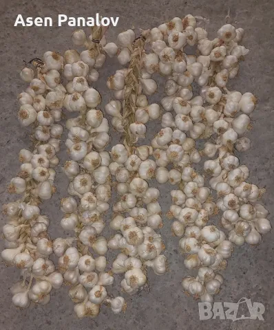 Чесън на плитки -био 