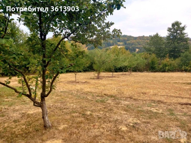 Продавам УПИ в с.Рибарица, общ. Етрополе, в.з. "Манастира", снимка 3 - Парцели - 52853495