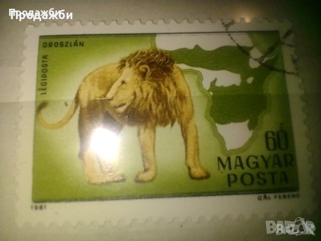 Красива колекция 2 бр. Унгарски пощенски марки с животни 1981 г., снимка 3 - Филателия - 43348756