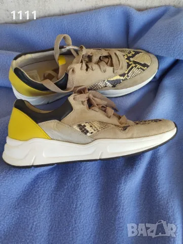 Сникърски Gabor.