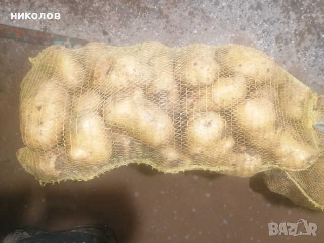 картофи за пълнене , снимка 4 - Други - 52579866