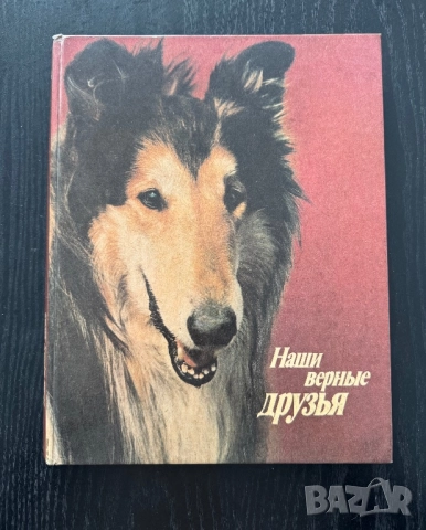 Кинология - книги и списания за кучето и котката, снимка 6 - Специализирана литература - 51950834