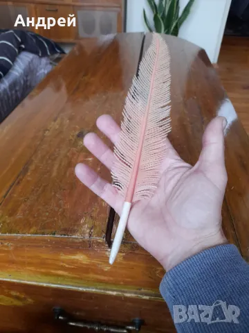 Стара писалка,химикал,химикалка Перо, снимка 4 - Други ценни предмети - 48440797