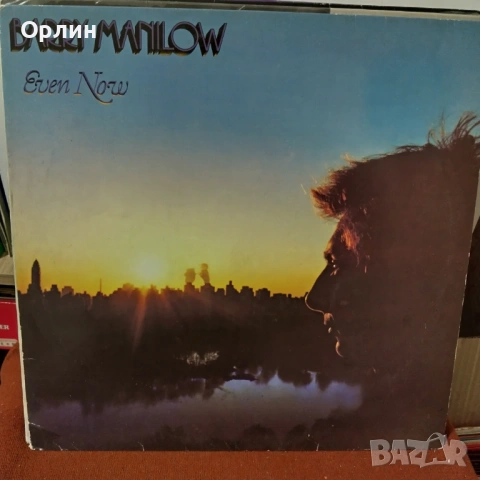 Грамофонни плочи - 5, снимка 9 - Грамофонни плочи - 53248373