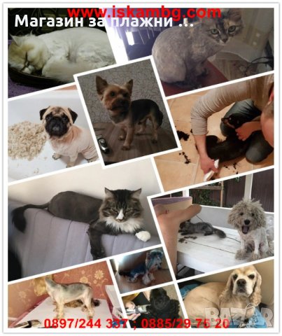 Машинка за подстригване на кучета и котки - модел Р2, снимка 10 - Други стоки за дома - 28815263