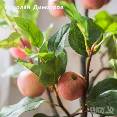 Продавам декорация ябълково дърво в саксия H 100 cm, снимка 5 - Декорация за дома - 29068590