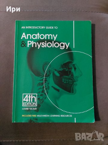 An Introductory Guide to Anatomy & Physiology, снимка 1 - Специализирана литература - 35404101