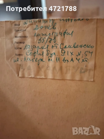 Литография Лазарка от сливенско, Димитър Донев , снимка 3 - Картини - 53257691