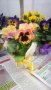 Теменужки за 8 март, снимка 1 - Градински цветя и растения - 43808236