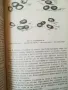 Ловно стопанство, дивечознание и рибовъдство / Ботев, Колев , снимка 8