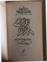 Две на ум -Пейчо Несторов, снимка 2