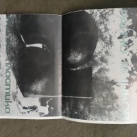 Продавам брошура "Райчо Минков Изложба малка пластика 1983, снимка 1 - Други ценни предмети - 35055498