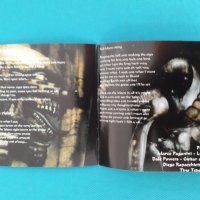 Paradox,Silent Call,Paganini,Icewind, снимка 17 - CD дискове - 37060754