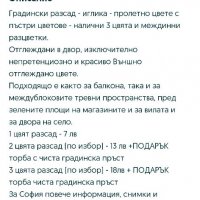 Градинска иглика в 3 цвята и разцветки.От март до Април , снимка 16 - Градински цветя и растения - 32711428