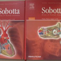 Sobotta: Atlas of Human Anatomy. Vol. 1-2, снимка 1 - Специализирана литература - 27584309