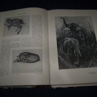 Шест броя на "The Studio" списание за изящни изкуства от 1911г., снимка 10 - Списания и комикси - 27656963