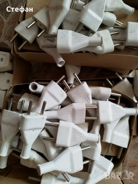 щепсели обикновени, снимка 1