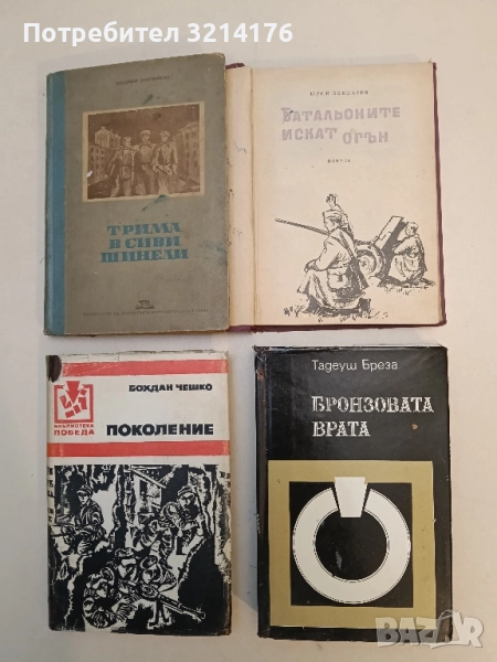 Батальоните искат огън - Юрий Бондарев, снимка 1
