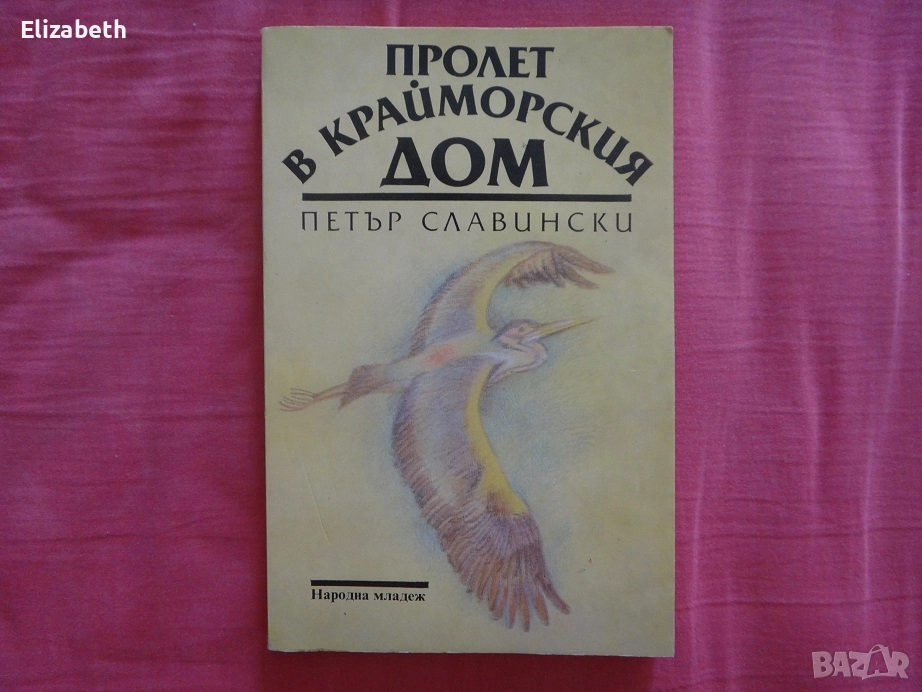 Пролет в крайморския дом - Петър Славински, снимка 1