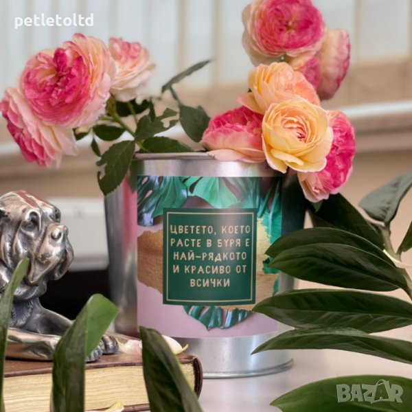 СЕТ весели кашпи за градината (микс от 9 бр) , снимка 1