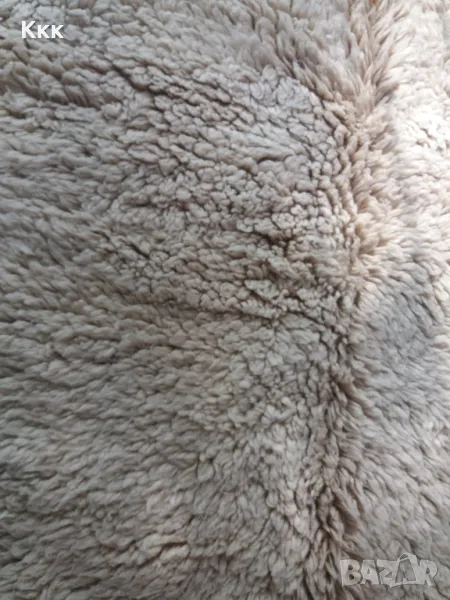 Бял китеник, снимка 1