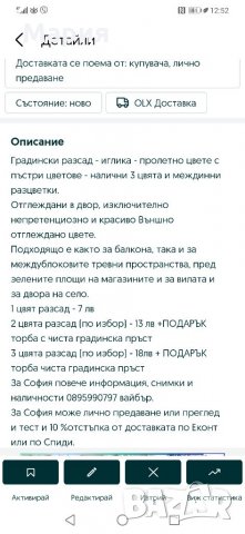 Градинска иглика в 3 цвята и разцветки.От март до Април , снимка 16 - Градински цветя и растения - 32711428