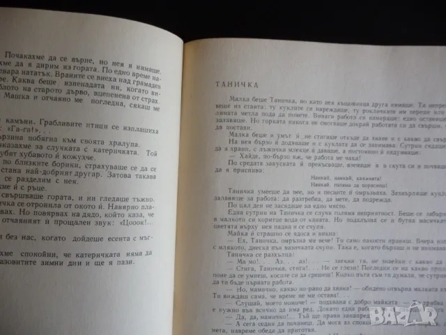 Откършеното клонче Христо Стойков разкази за деца стара детска книга рисунки, снимка 3 - Детски книжки - 47397687