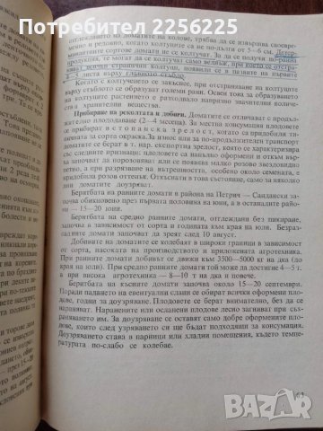 Практическо зеленчуко - производство, снимка 4 - Специализирана литература - 50611806