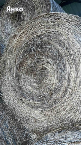 Бали слама и сено рулонни, снимка 8 - За селскостопански - 52337096