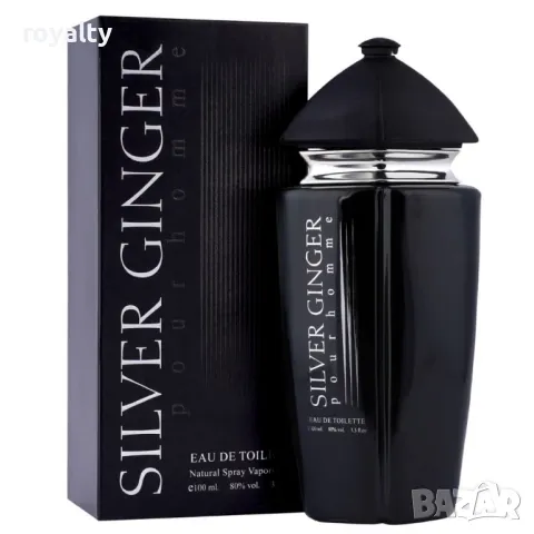 Парфюм Silver Ginger by BN, U n i s e x, Eau de toilette 100ml