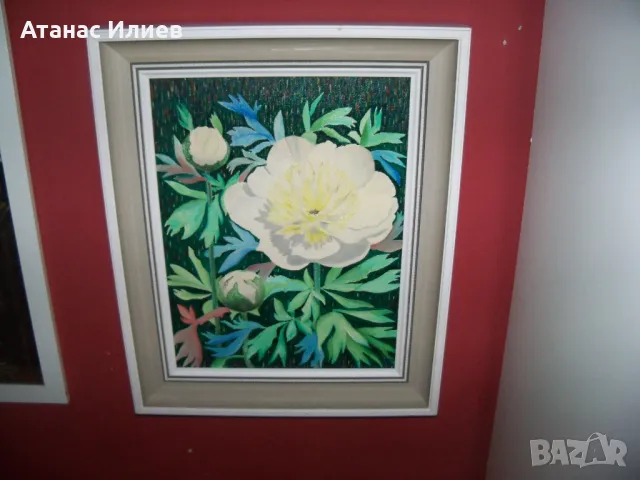 Красива маслена картина Божур