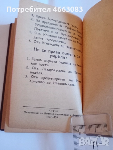 СТАРА БИБЛИЯ , снимка 5 - Колекции - 52613997