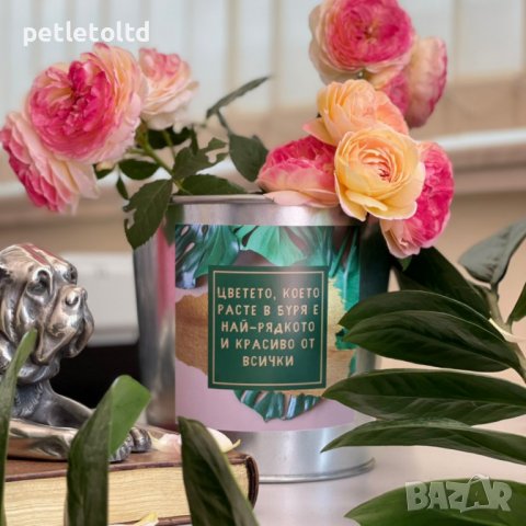 СЕТ весели кашпи за градината (микс от 9 бр) 