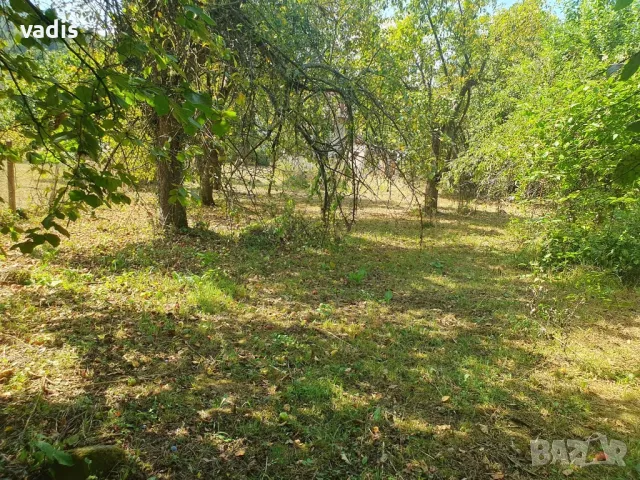 Къща в село Лопян, снимка 7 - Къщи - 48780641