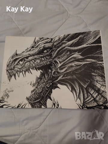 "Четвърто крило" първа книга от поредица, снимка 3 - Художествена литература - 52826777