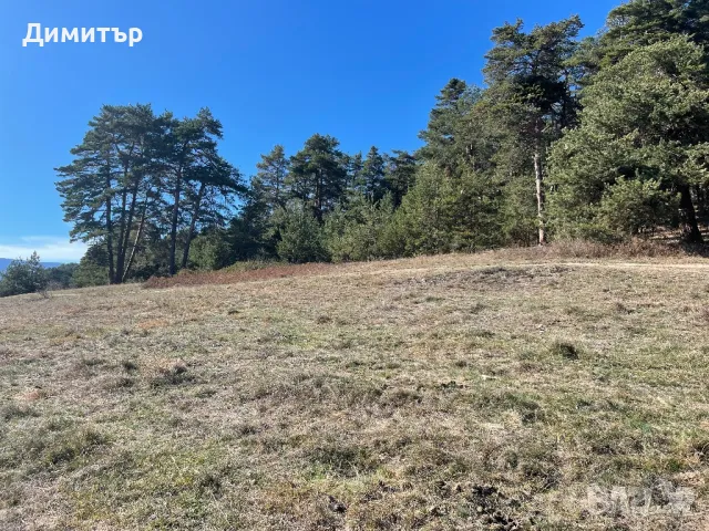 Парцел,земя,град Батак,Цигов чарк, снимка 3 - Парцели - 47759091