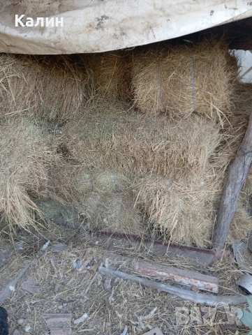 продавам Бали сено цена 8 лв.,бали слама,рола царевичак, снимка 5 - Други - 43155951