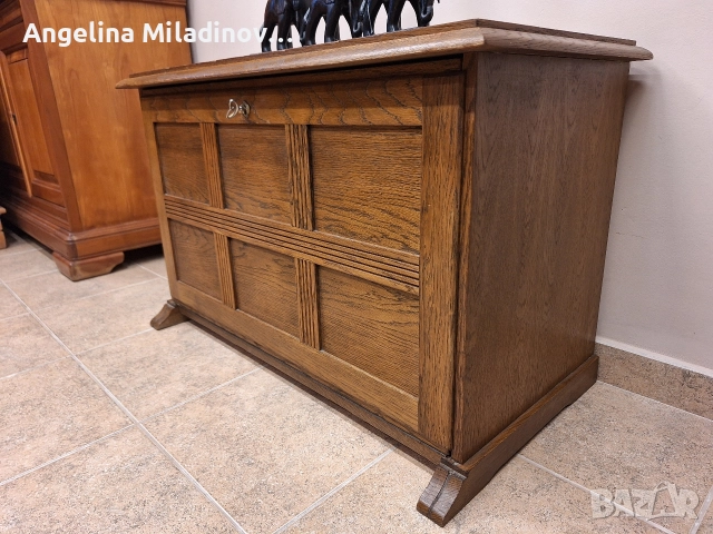 Пейка, шкаф за обувки , снимка 4 - Шкафове - 52818362