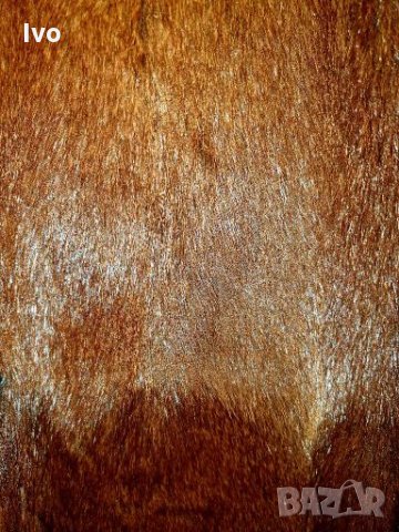 Палто от мурмел - естествена кожа, снимка 3 - Палта, манта - 27888488